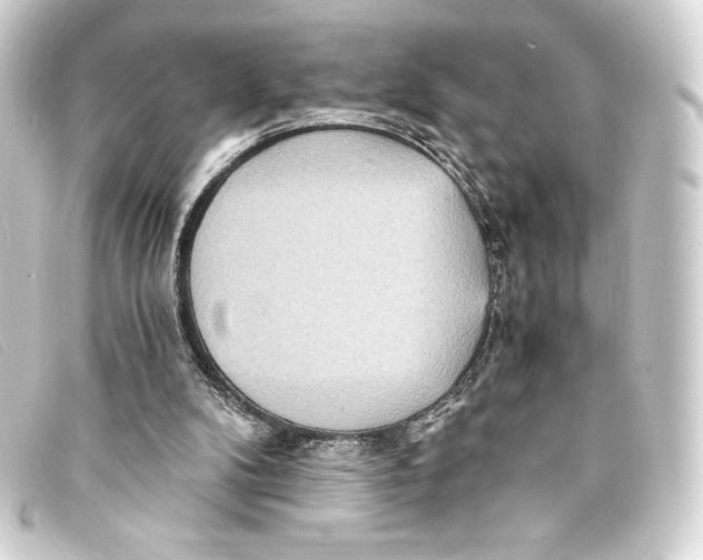 X0000093160104200710241028