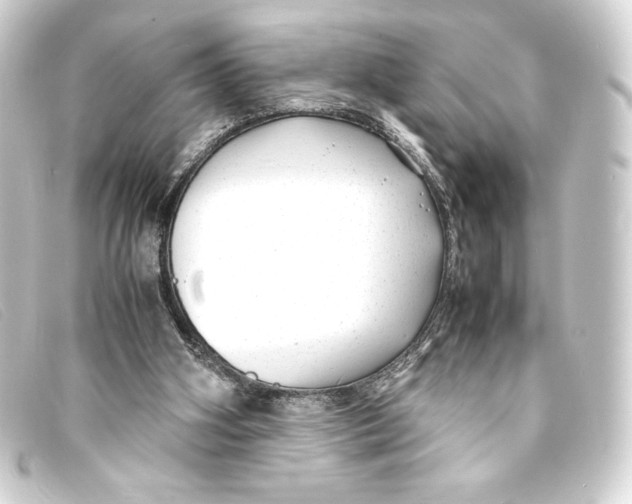 X0000093160106200710241027