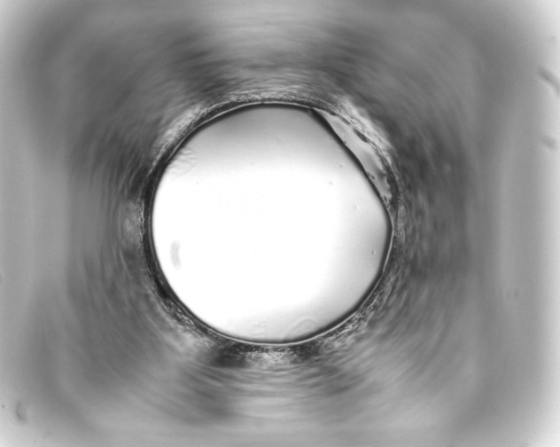 X0000093160107200710241027