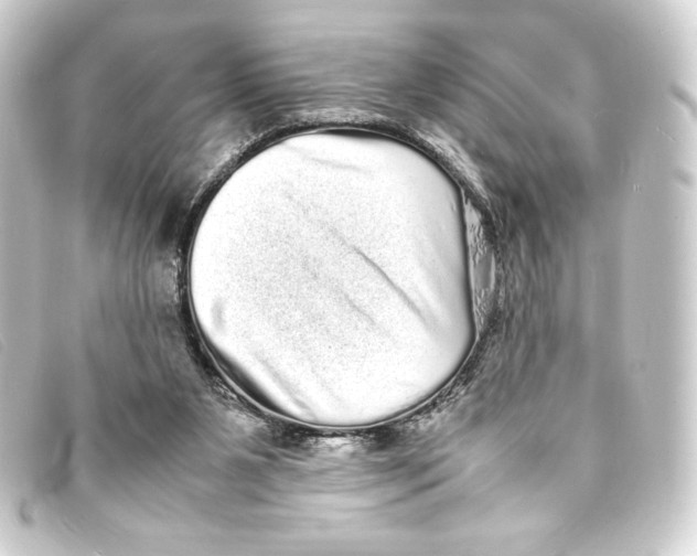 X0000093160111200710241027