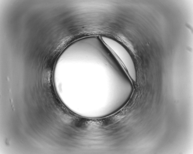 X0000093160115200710241027