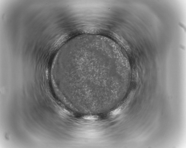 X0000093160117200710241027