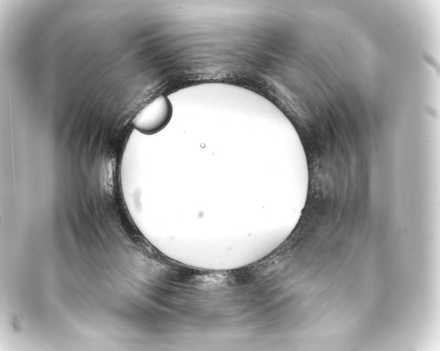 X0000093160118200710241027