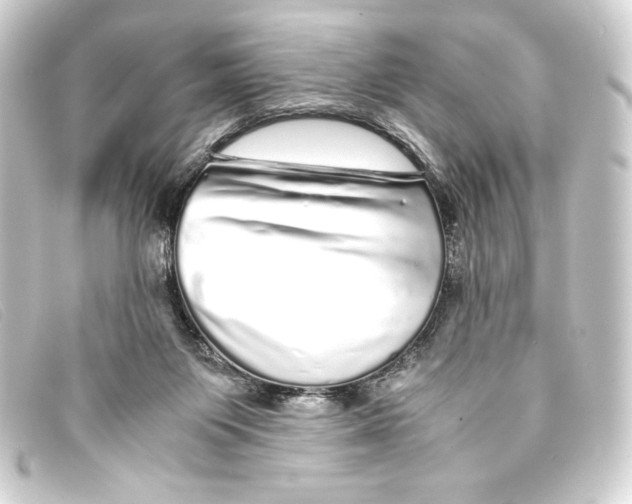 X0000093160119200710241027