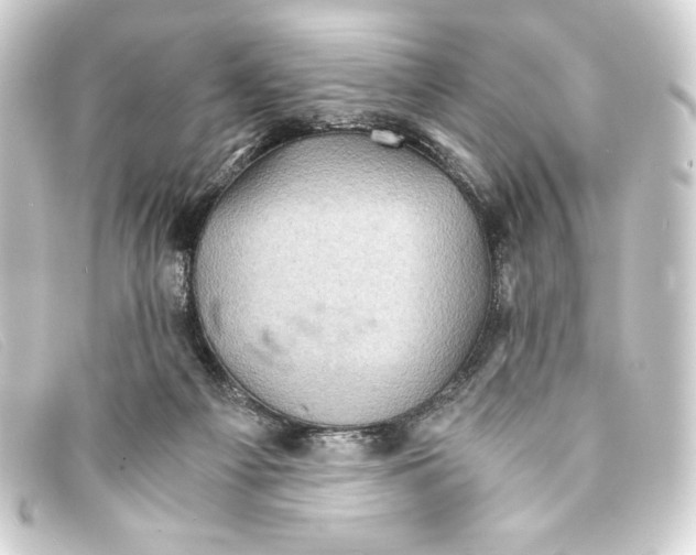 X0000093160121200710241027