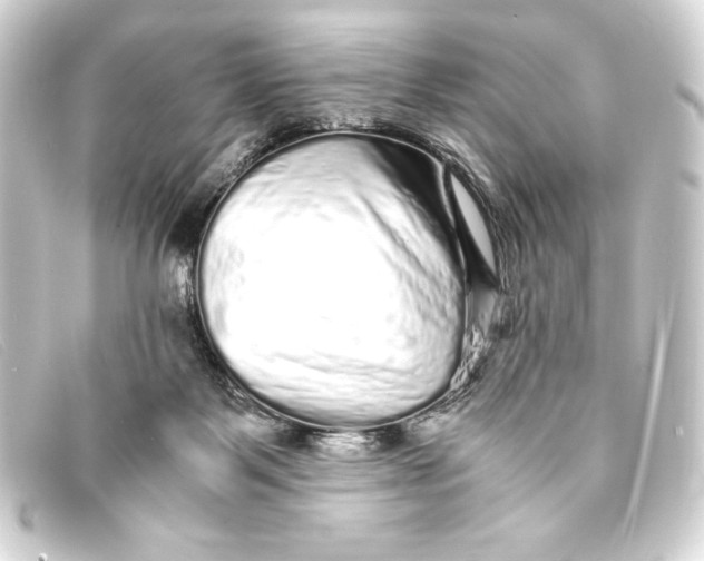 X0000093160123200710241027