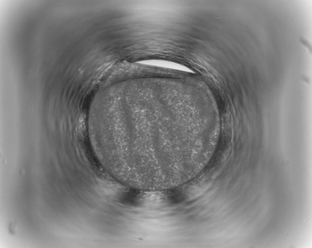 X0000093160127200710241027