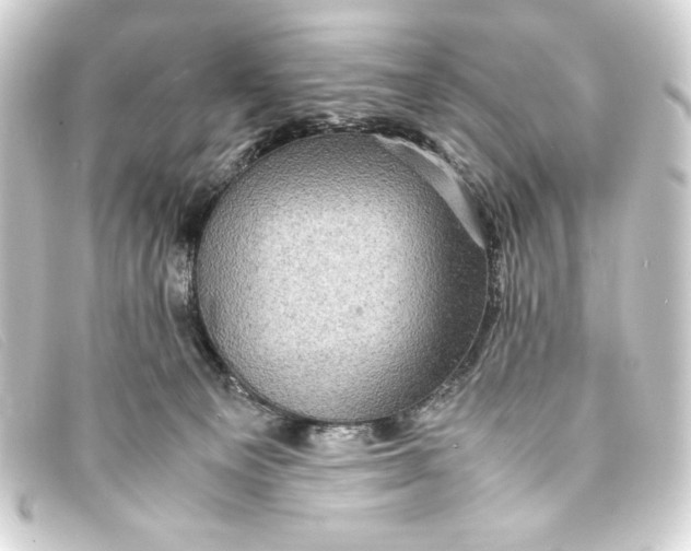 X0000093160129200710241027