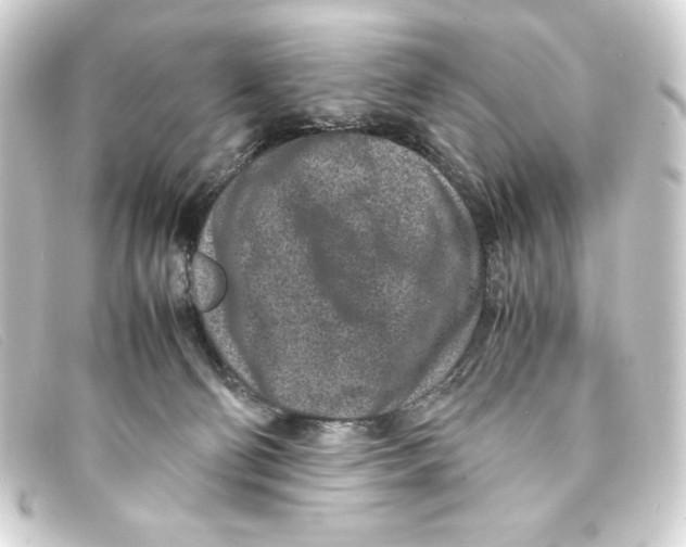 X0000093160130200710241027