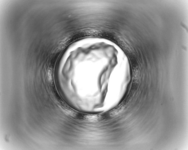X0000093160131200710241027