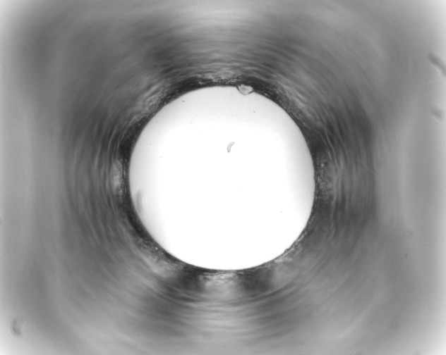 X0000093160132200710241027