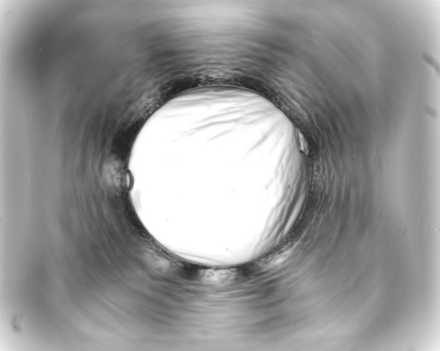 X0000093160135200710241027