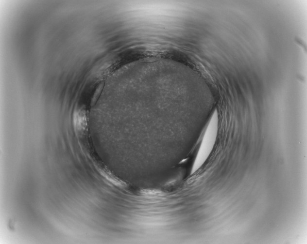 X0000093160137200710241027