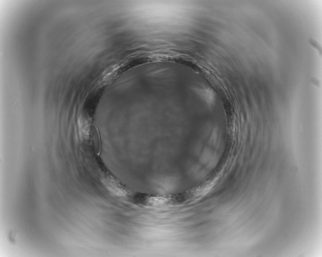 X0000093160139200710241027