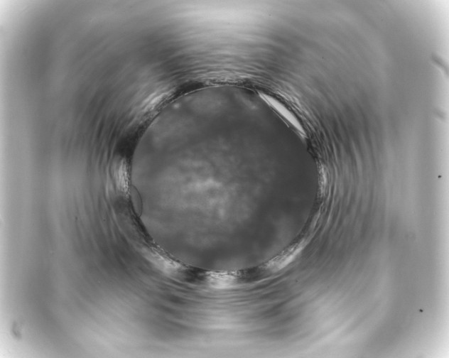 X0000093160143200710241027