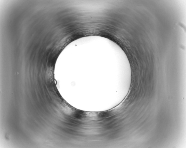 X0000093160144200710241027