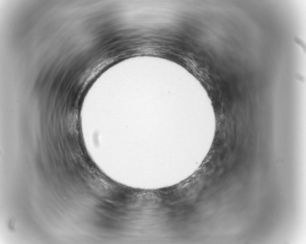 X0000093160146200710241026