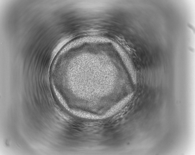 X0000093160147200710241026