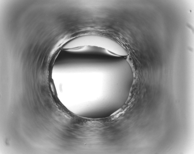 X0000093160150200710241027