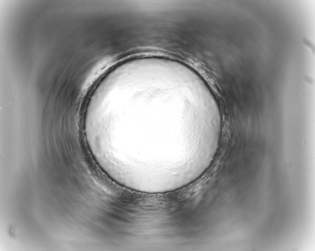 X0000093160151200710241027