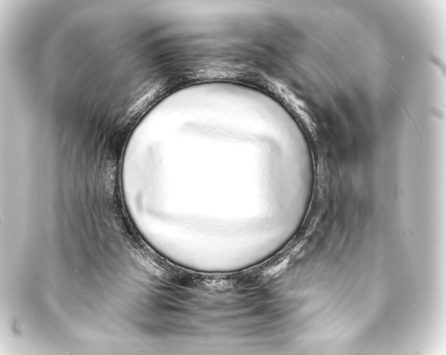 X0000093160153200710241027
