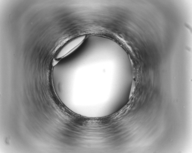 X0000093160154200710241027