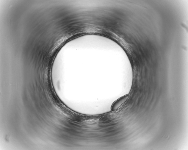X0000093160155200710241027