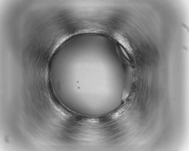 X0000093160156200710241027