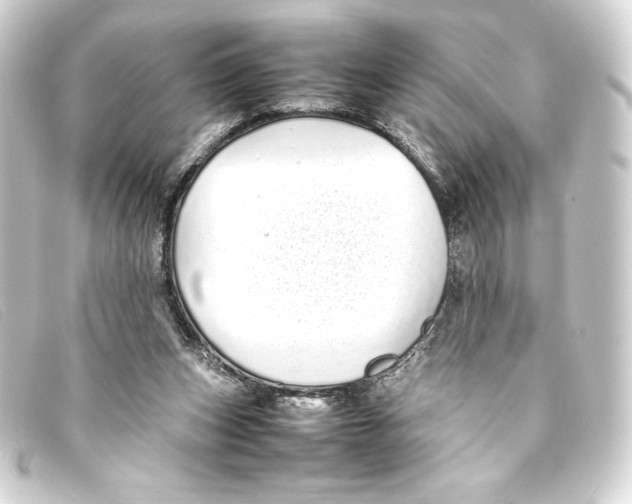 X0000093160159200710241027