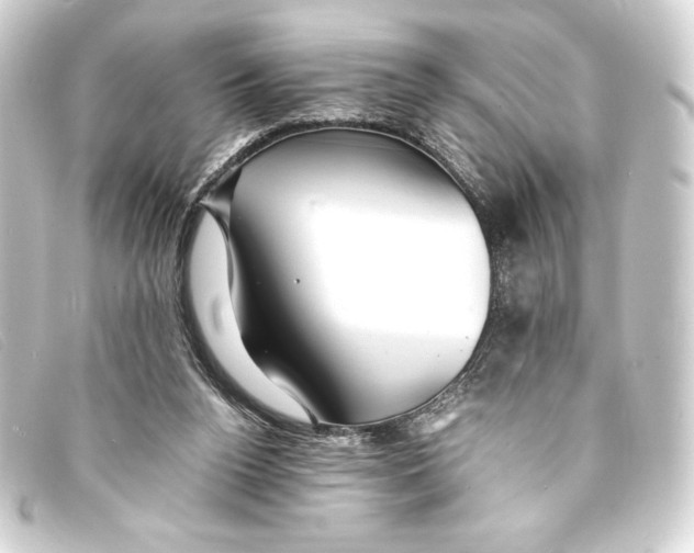 X0000093160160200710241027