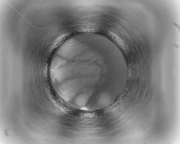 X0000093160163200710241027