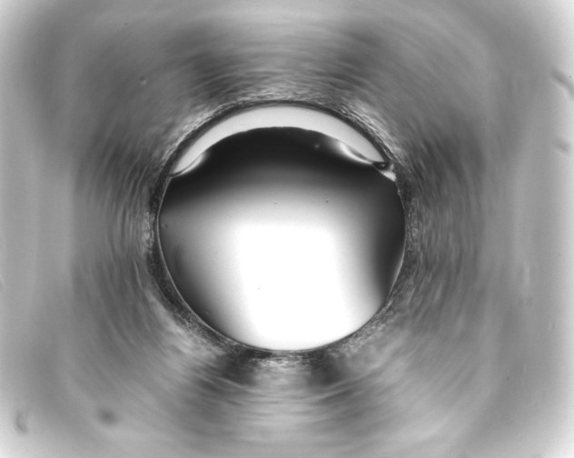 X0000093160164200710241027
