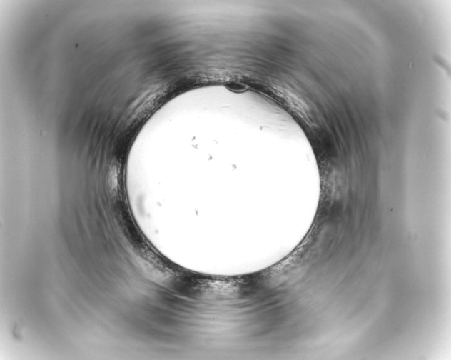 X0000093160166200710241027
