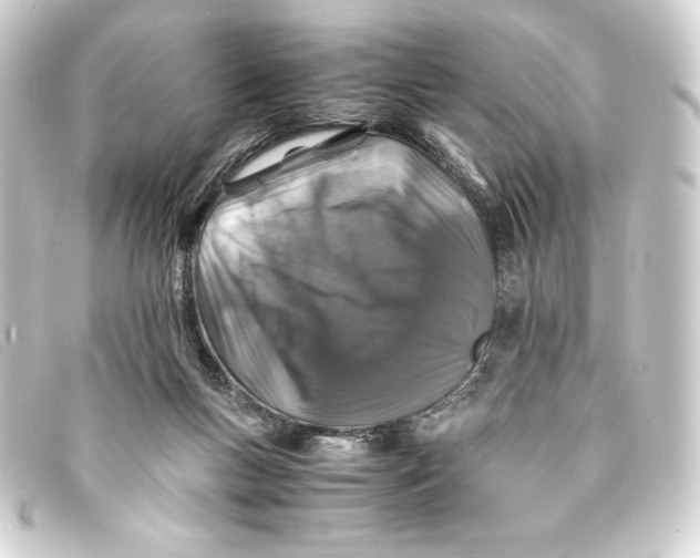 X0000093160167200710241027