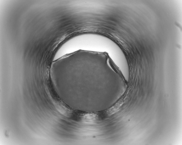 X0000093160168200710241027