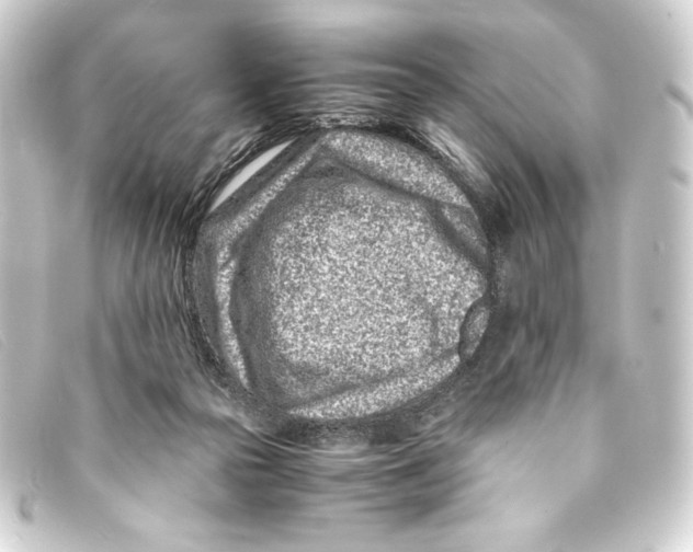 X0000093160169200710241027