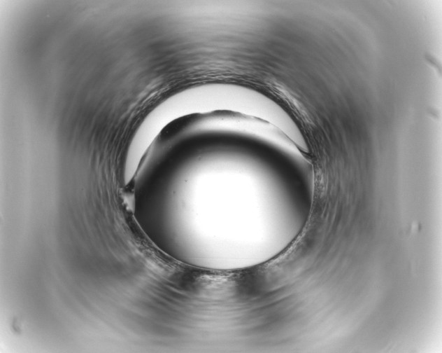 X0000093160170200710241027