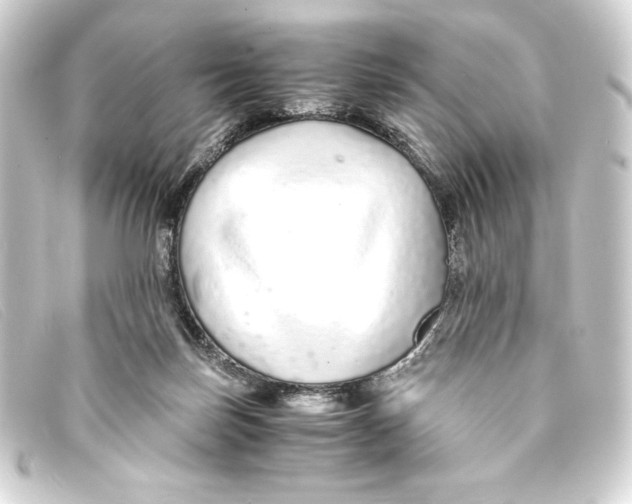 X0000093160171200710241027