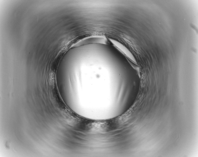 X0000093160172200710241027