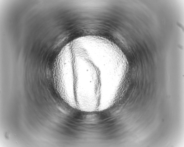 X0000093160173200710241027