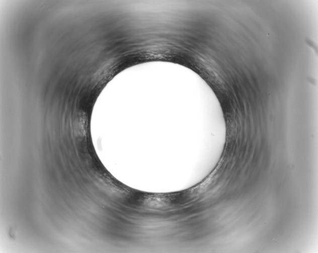 X0000093160174200710241027