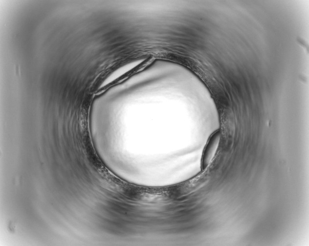 X0000093160175200710241027