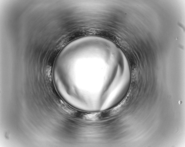 X0000093160178200710241027