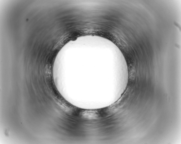 X0000093160179200710241027