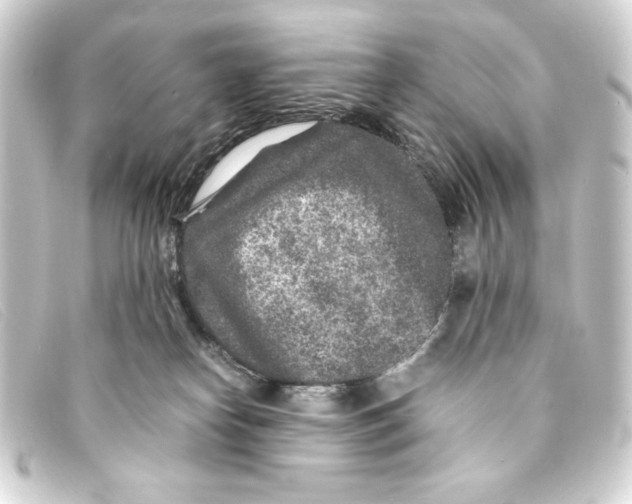 X0000093160182200710241027