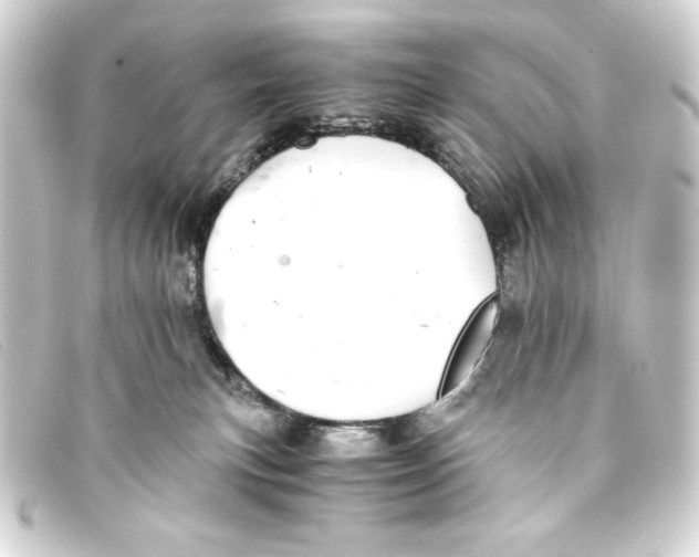 X0000093160183200710241027