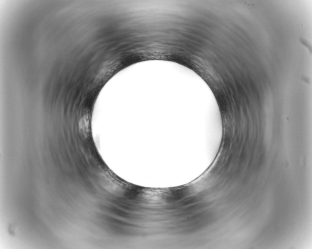 X0000093160190200710241027