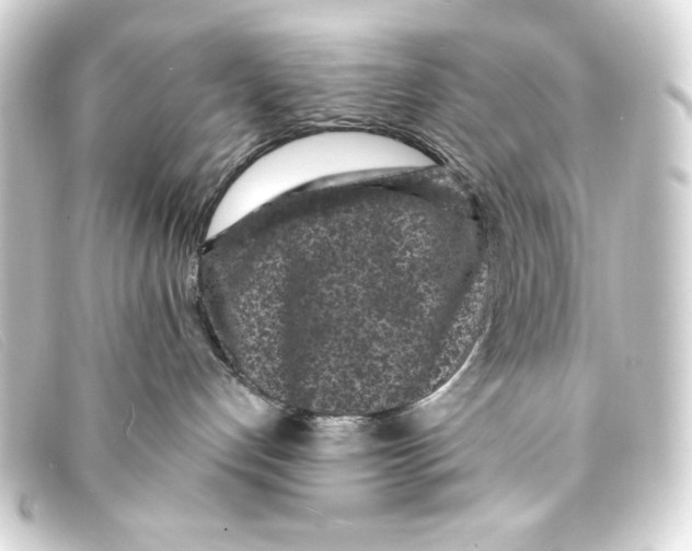X0000093160192200710241027