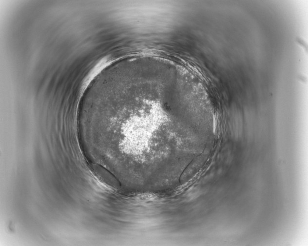 X0000093160195200710241026