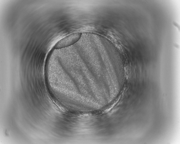 X0000093160196200710241026